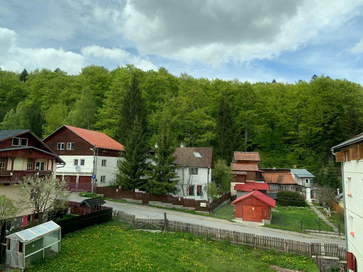 Отель Vila Curcubeu Буштени Экстерьер фото